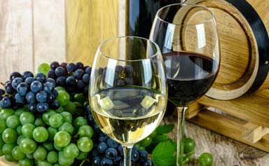 Wine Tours in Greece