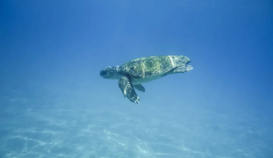 12-Day Private Tour, Ancient Greece, Zakynthos & Santorini Island