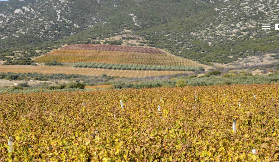 12 Day Wine Routes in Northern Greece & Peloponnese from Grape to Wine!