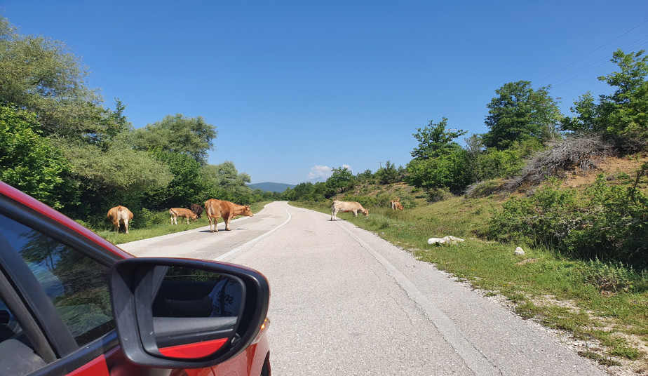8 Day Self-Drive Tour in Delphi, Meteora, Zagorochoria & Mountain Villages