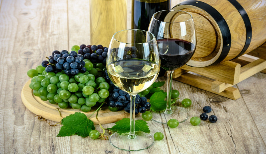 Half Day Wine Tour Athens, visit 2 of the Most award-winning Wineries in Athens