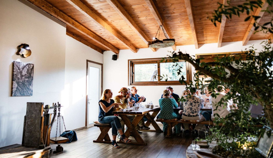 Private Tour in Corfu to Mon Repos Palace & Olive Oil Tasting