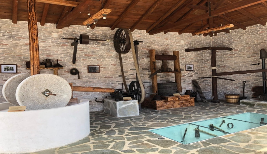 Private Tour in Corfu to Mon Repos Palace & Olive Oil Tasting