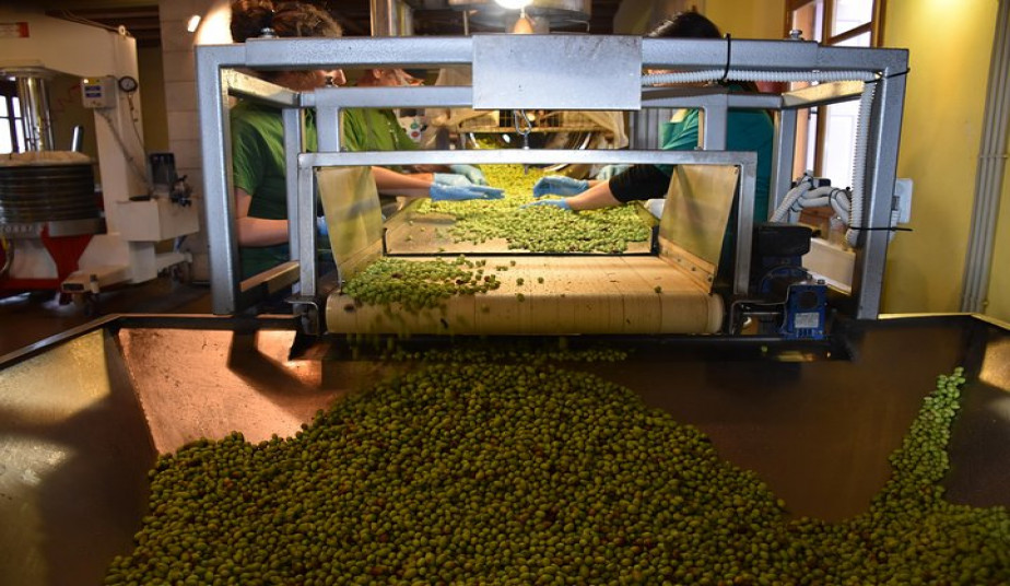 Guided Tour Knossos, Olive Oil & Farm-to-Table Experience at a Cretan Farm