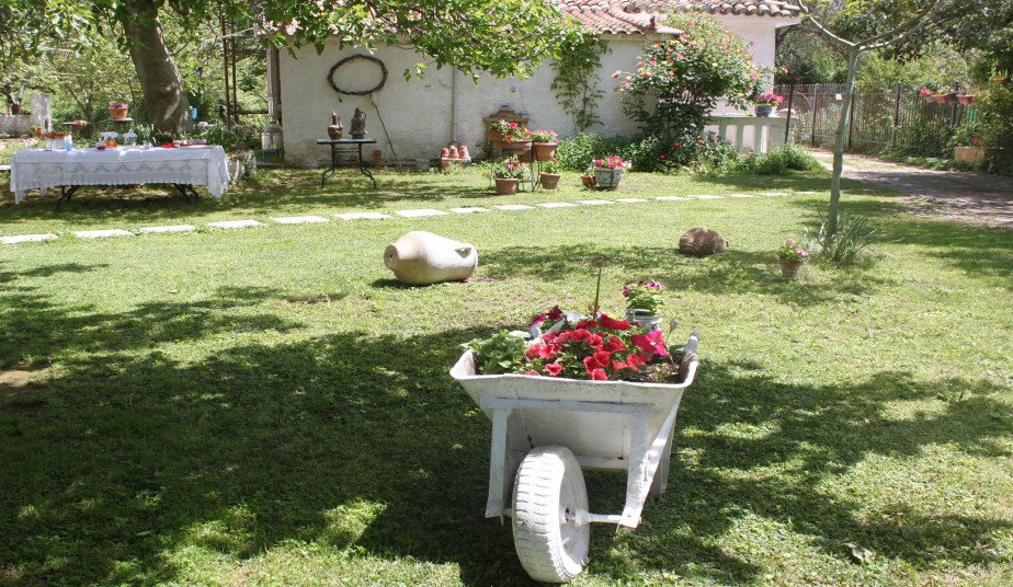 Journey to Ancient Olympia – Private Day Tour from Athens