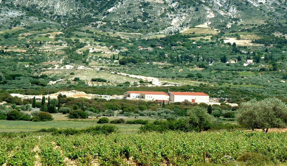 Cruise Excursion to Visit a Great Winery, Melisani Lake & Village of Agia Effimia