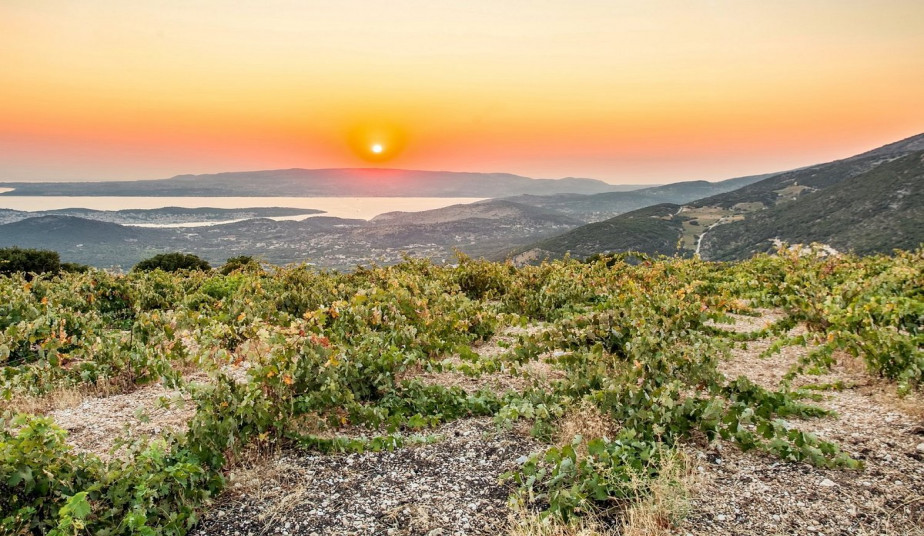 Cruise Excursion to Visit a Great Winery, Melisani Lake & Village of Agia Effimia