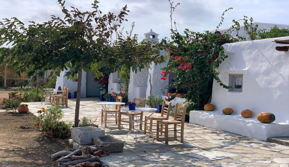 Traditional Bread Baking in Mykonos: A Hands-On Farm Experience