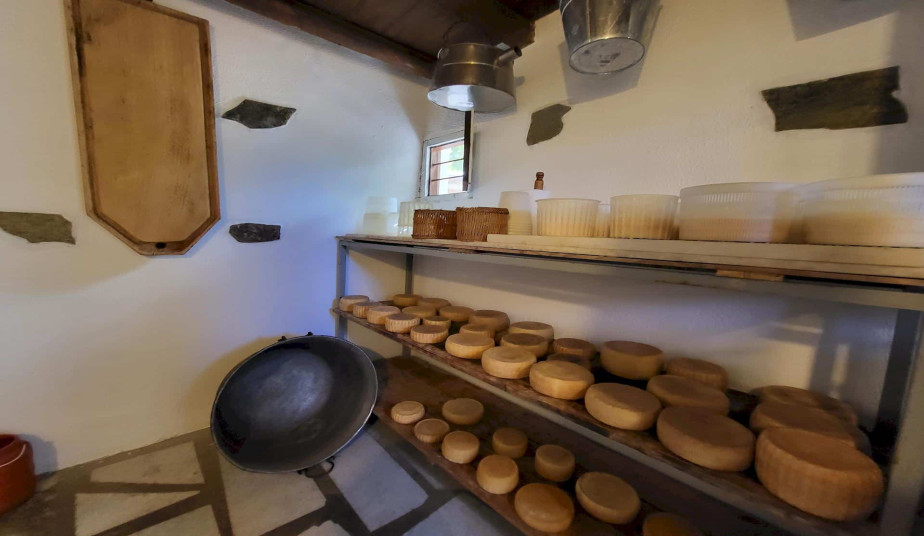 Private Cheese Making Experience in Naxos – Authentic Farm Workshop