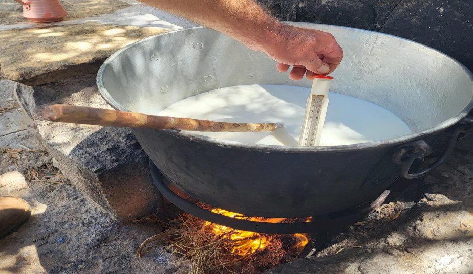 Private Cheese Making Experience in Naxos – Authentic Farm Workshop