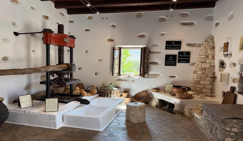 Naxos Gourmet & Cultural Tours – Olive Oil, Wine & Honey Tasting