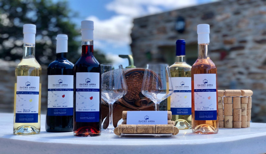 Naxos Gourmet & Cultural Tours – Olive Oil, Wine & Honey Tasting