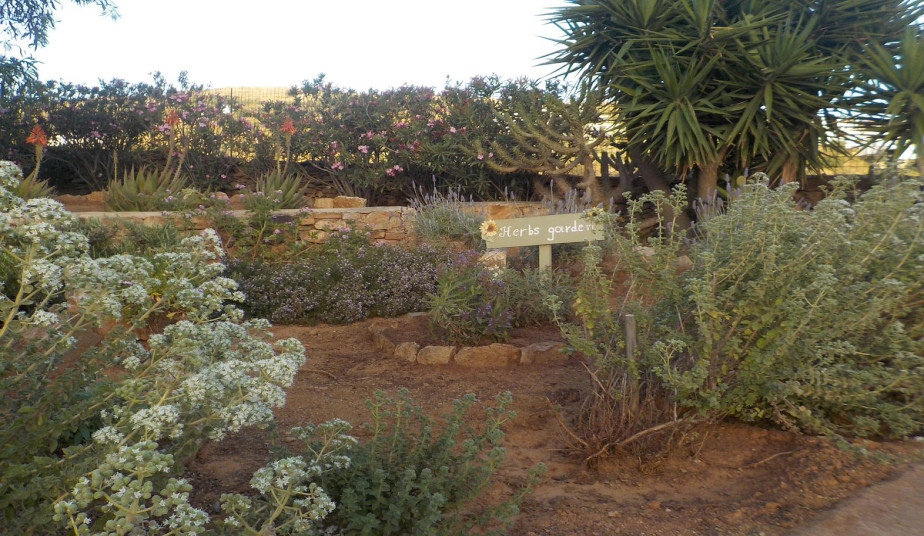 Naxos Gourmet & Cultural Tours – Olive Oil, Wine & Honey Tasting