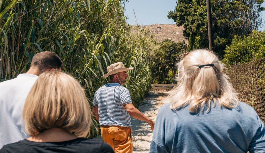 Hands-On Naxian Farm & Traditional Wood-Fired Cooking Experience