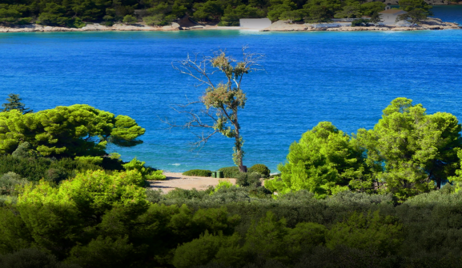 One Day Self Guided Tour to Spetses, Saronic Gulf's most Cosmopolitan Island