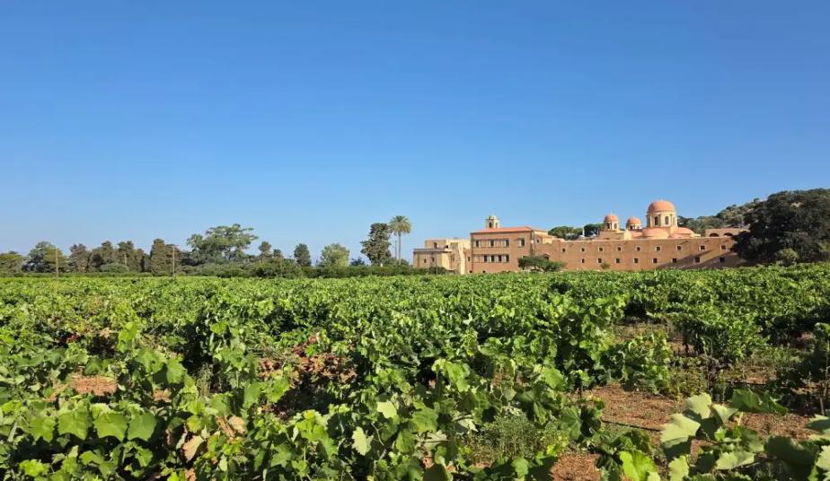 The vineyards of Agia Triada Monastery with the monastery in the background