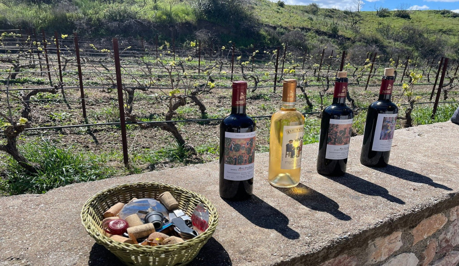 4-Hour Private Tour in Rhodes: Valley of the Butterflies & Wine Tasting