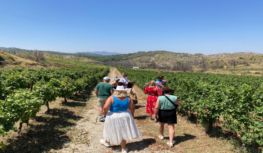 4-Hour Private Tour  in Rhodes: Valley of the Butterflies & Visit at Local Winery