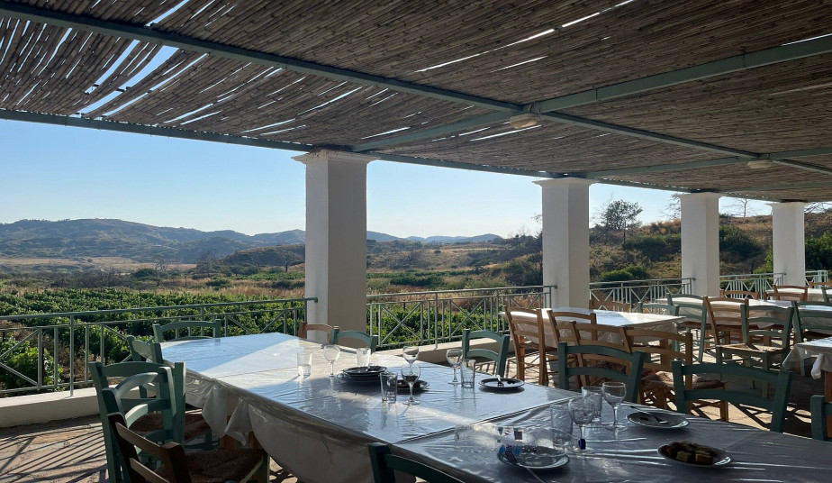 4-Hour Private Tour in Rhodes: Valley of the Butterflies & Wine Tasting