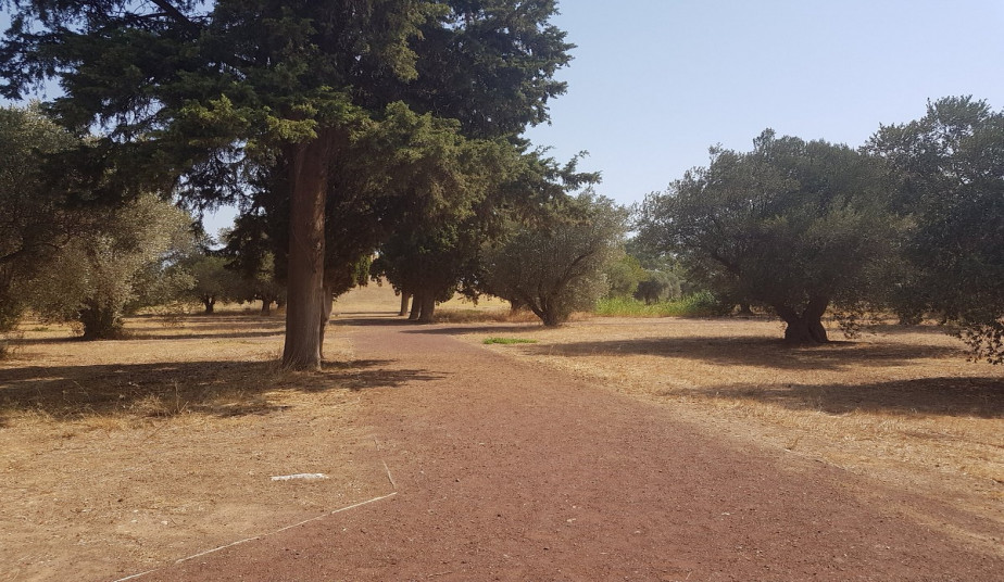 Marathon, Thermopylae & Plataea - Ancient Battlefields Adventure