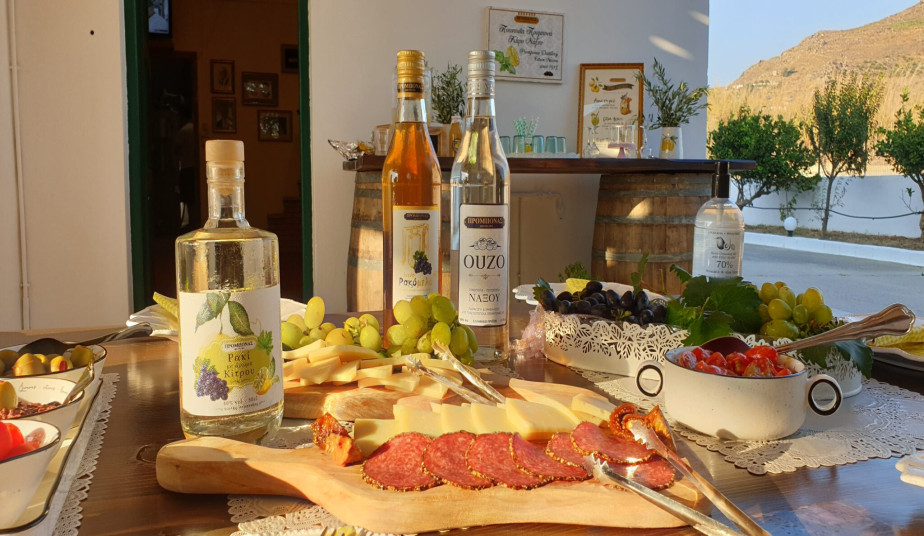 Private Naxos Tour: Medieval Castle, Portara & Citrus Liqueur Production