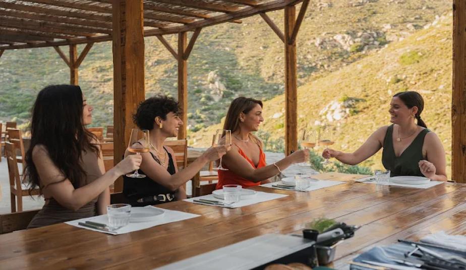 Naxos Wine & Food Tour: Family Estate Tasting, Olive Oil Museum & Farm Breakfast