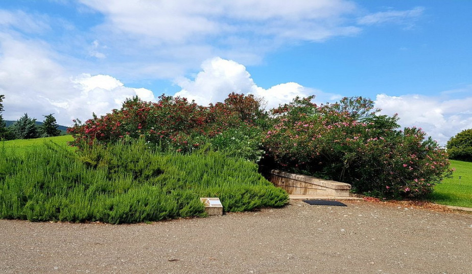 Private Tour in Veria and Vergina, Tomb of Philip II, Alexander the Great's Father