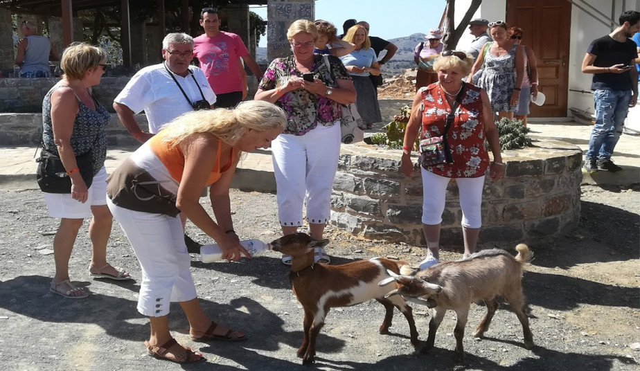 Shepherd’s Shelter Experience in Crete to Traditional Farm & Food Tour