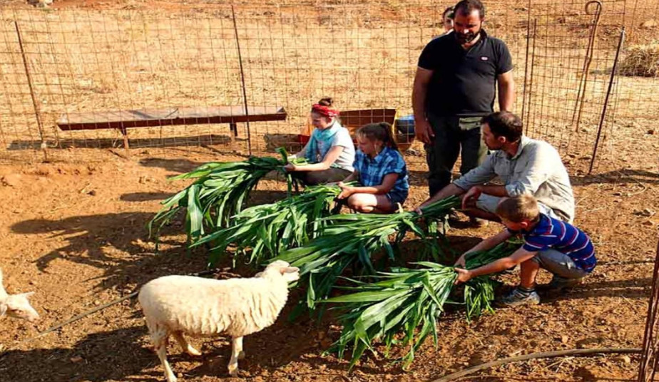 Shepherd’s Shelter Experience in Crete to Traditional Farm & Food Tour