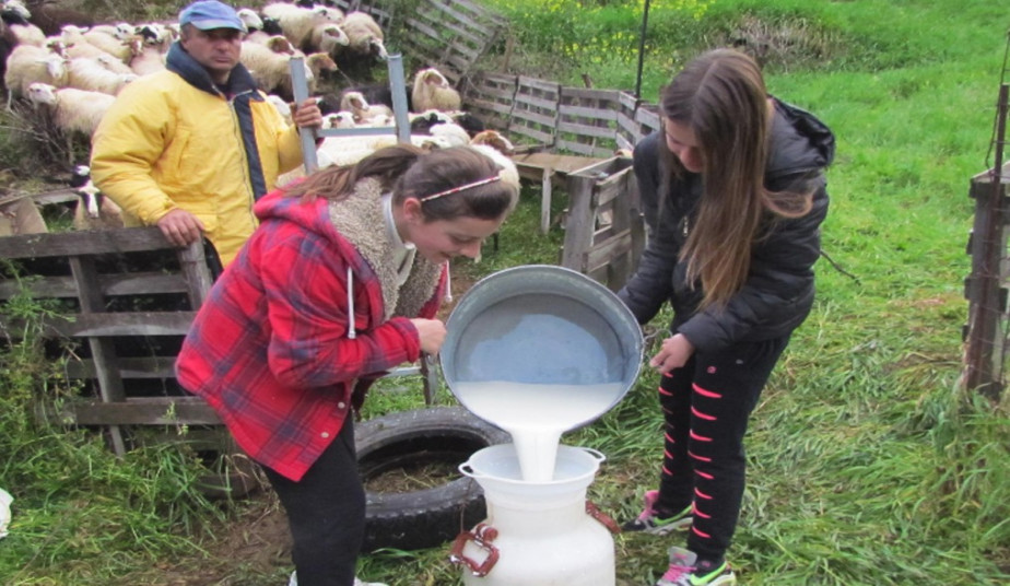 Shepherd’s Shelter Experience in Crete to Traditional Farm & Food Tour