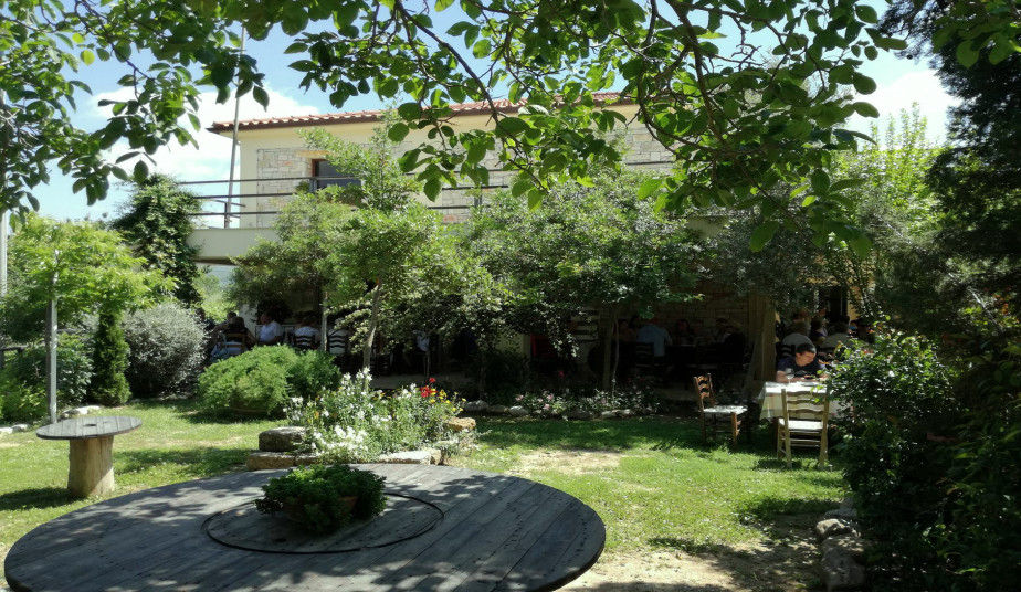 Shore Excursion at Ancient Olympia, Museum  & Greek Wine Tasting