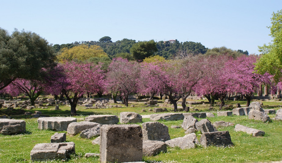 Shore Excursion at Ancient Olympia, Museum & Olive Oil Tasting Experience