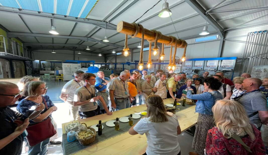 Shore Excursion at Ancient Olympia, Museum & Olive Oil Tasting Experience