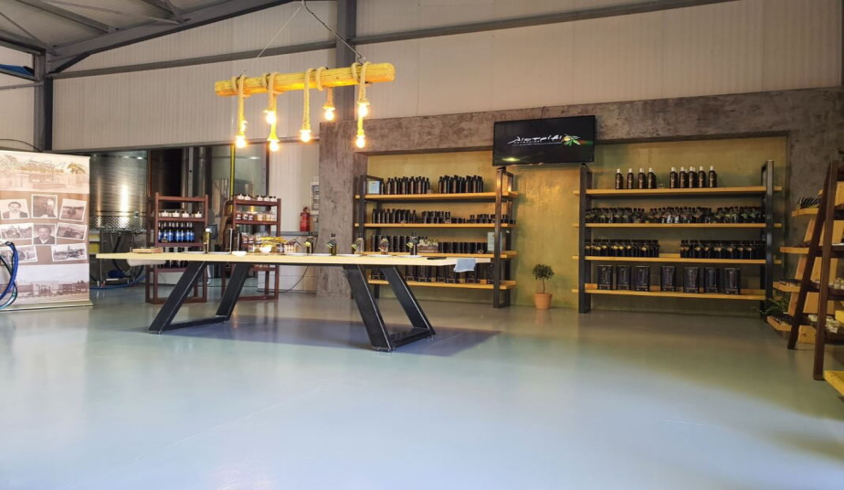 Shore Excursion at Ancient Olympia, Museum & Olive Oil Tasting Experience