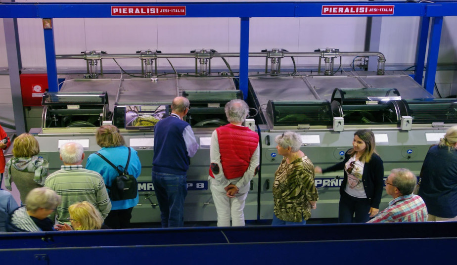 Shore Excursion at Ancient Olympia, Museum & Olive Oil Tasting Experience