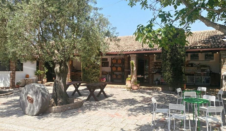 Private Shore Excursion to Ancient Olympia with Wine & Olive Oil Tasting