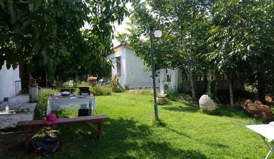 Private Shore Excursion to Ancient Olympia, Honey Farm and Flea market