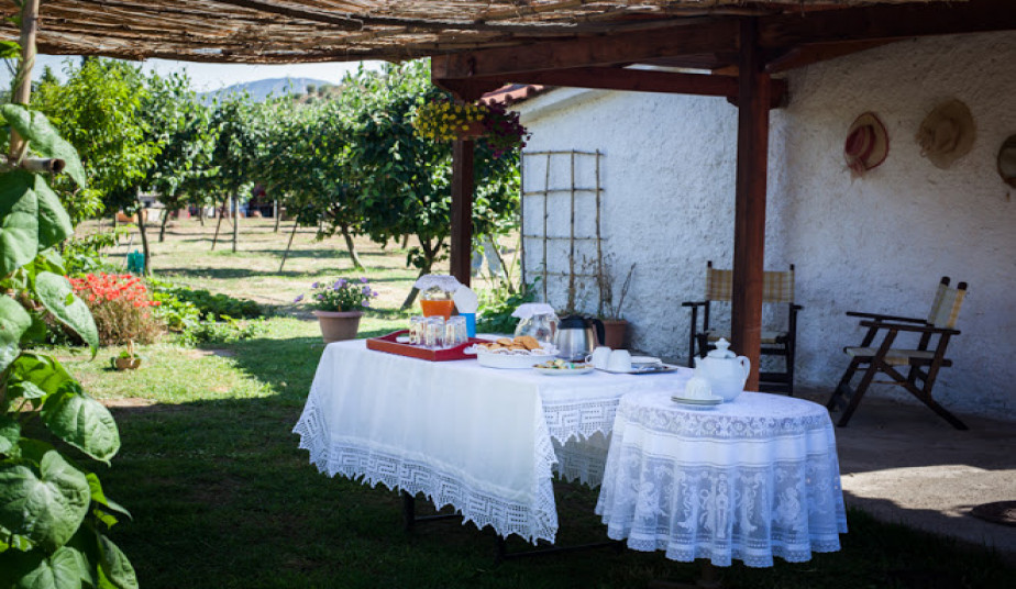 Private Shore Excursion to Ancient Olympia, Honey Farm and Flea market