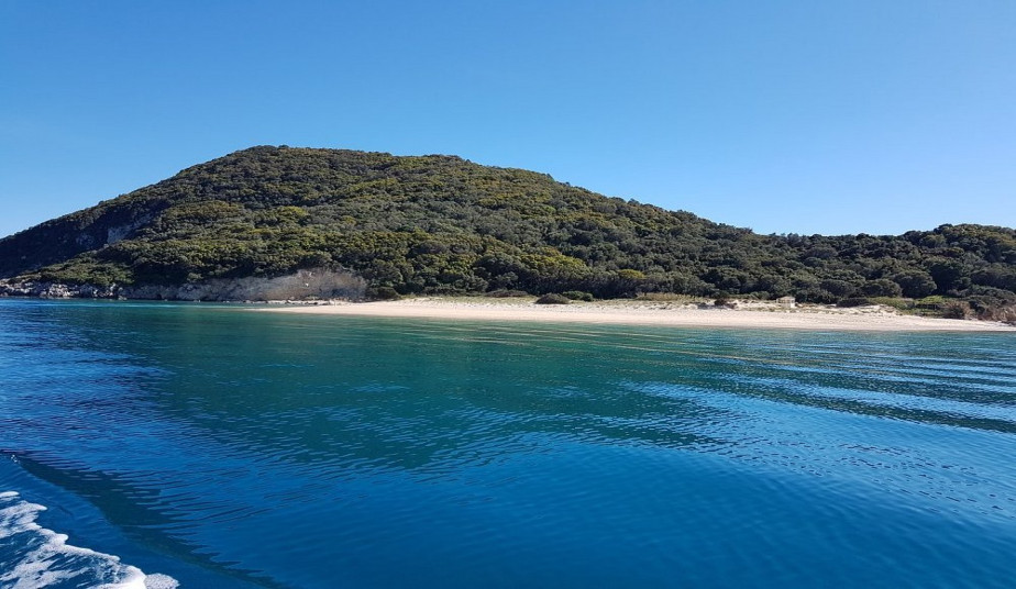 3 Hours Group Cruise to Turtle island a Sea Turtle Photo Tour Zakynhtos