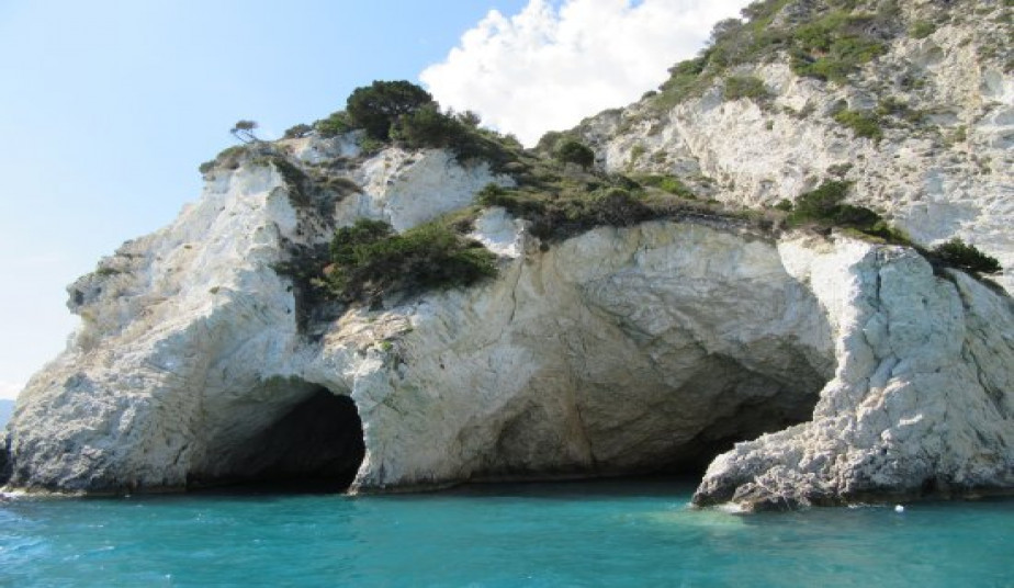 3 Hours Group Cruise to Turtle island a Sea Turtle Photo Tour Zakynhtos