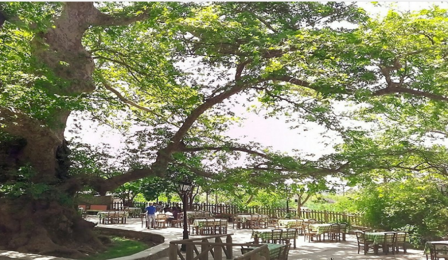 Shore Excursion Crete to Cave of Zeus, Palace of Knossos & Traditional Villages