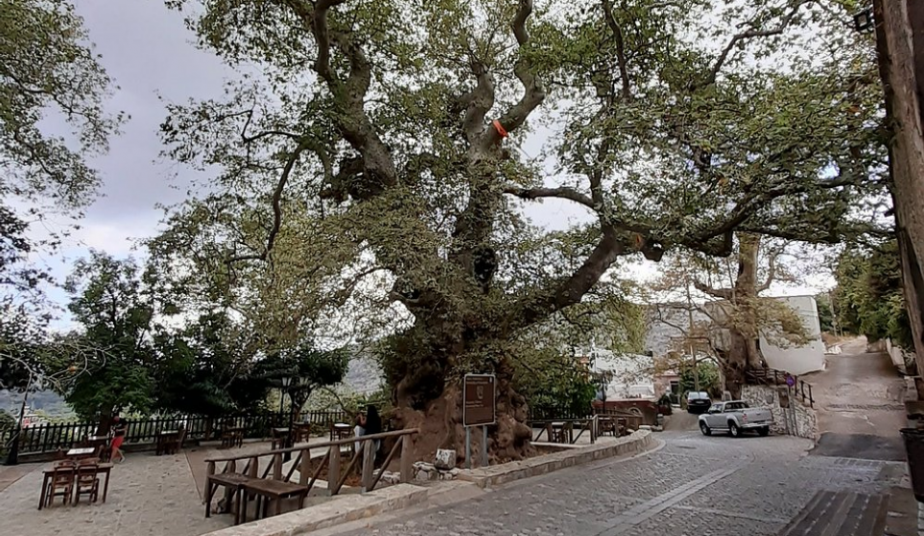 Shore Excursion Crete to Cave of Zeus, Palace of Knossos & Traditional Villages