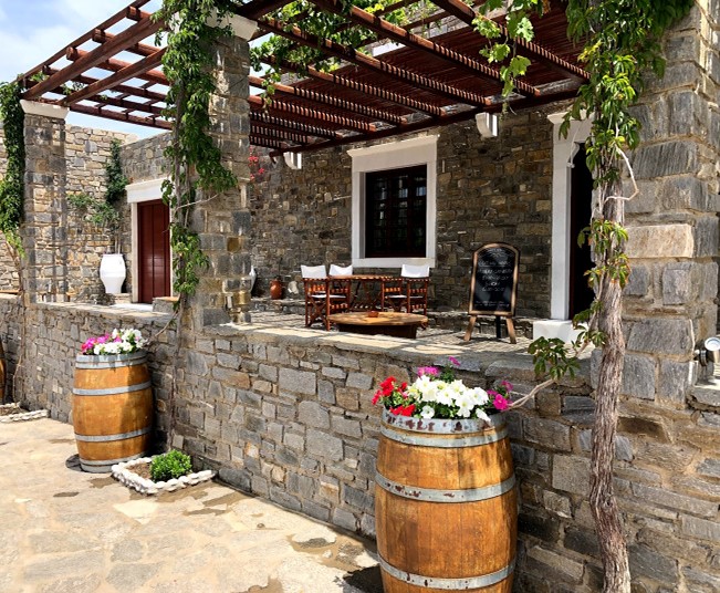 Private Organic Farm Tour and Wine Tasting in Paros for Food Enthusiasts