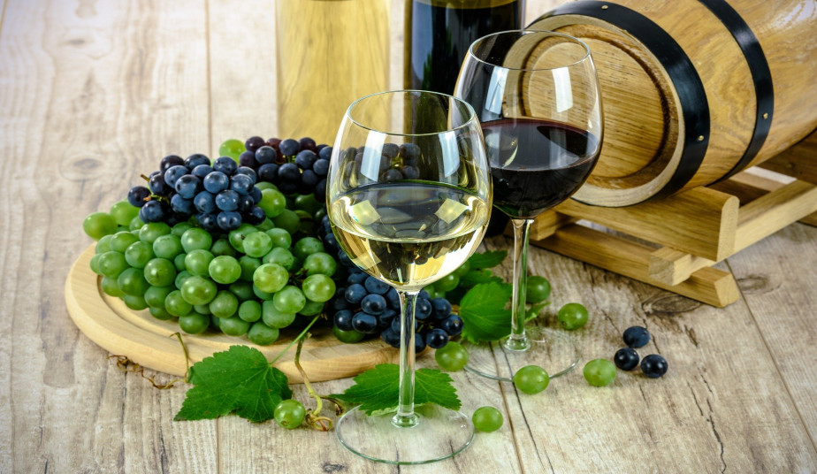 Wine Tour in Nemea to Discover the Best Wine Routes of the Peloponnese
