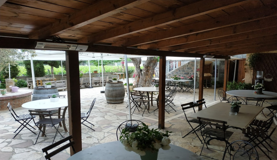 Wine Tour & Grape Facial Therapy Experience at the Winery Estate