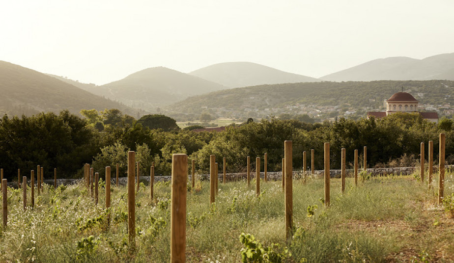 Wine Tour & Wine Tasting in Kefalonia, Village of Assos & Myrtos Beach