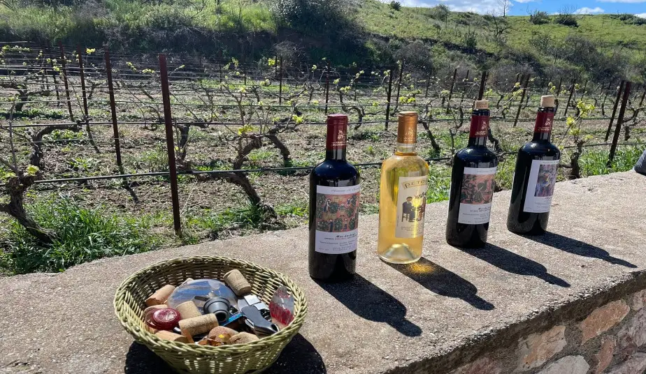 Valley of the Butterflies Tour & Visit at Local Winery